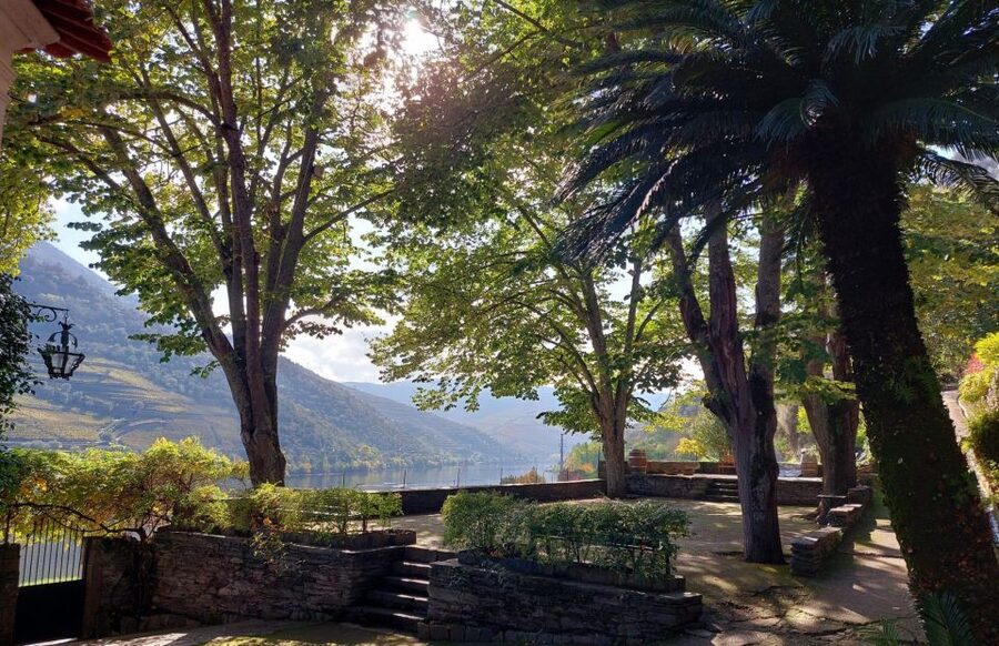 Douro Valley: (Pinhão) Quinta da Foz - Tour&Tasting 5 WINES - Key points at a glance