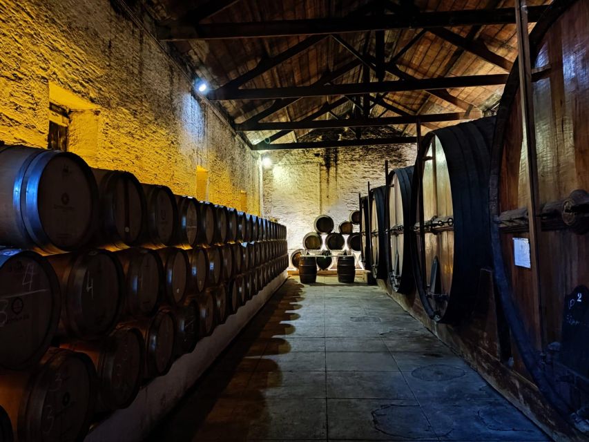 Douro Valley: (Pinhão) Quinta da Foz - Tour&Tasting 5 WINES - The traditional cellar and its old Douro character