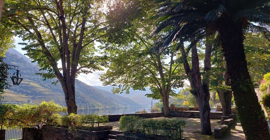 Douro Valley: (Pinhão) Quinta da Foz - Tour&Tasting 5 WINES - Five wines and olive oil at the tasting table