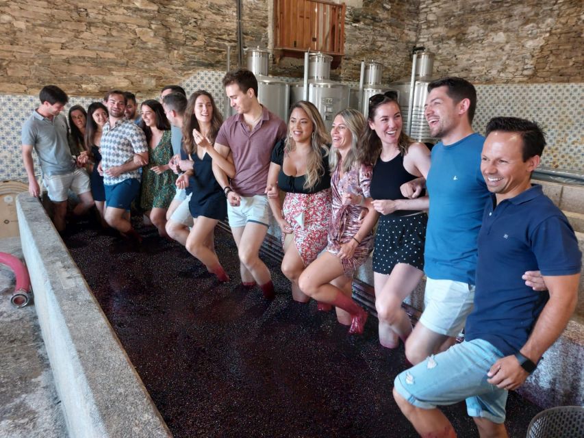 Douro Valley: (Pinhão) Quinta da Foz - Tour&Tasting 5 WINES - The first 20 minutes: winery and production methods