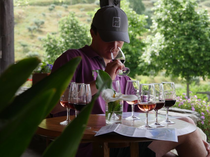 Douro Valley: Premium Port Tasting Winery Tour & River Views - Key points to know before you go