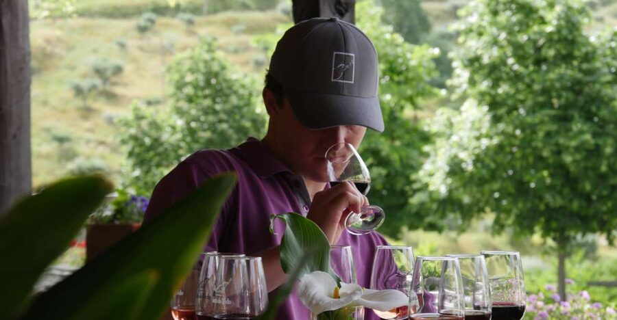Douro Valley: Premium Port Tasting Winery Tour & River Views - Why this Folgosa winery visit is worth your time