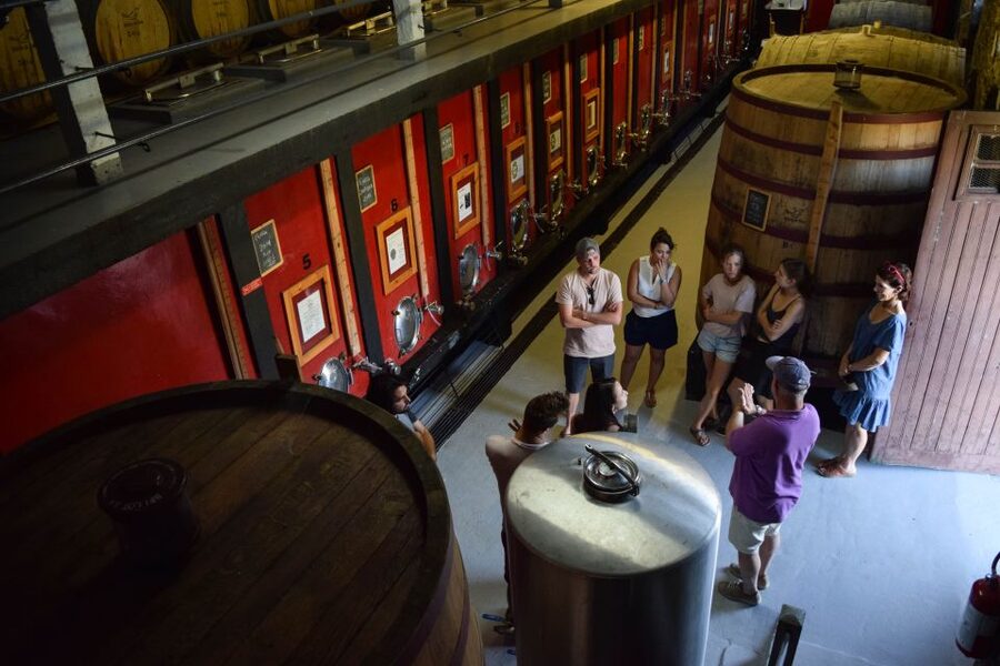 Douro Valley: Premium Port Tasting Winery Tour & River Views - What the guides and staff add to the visit