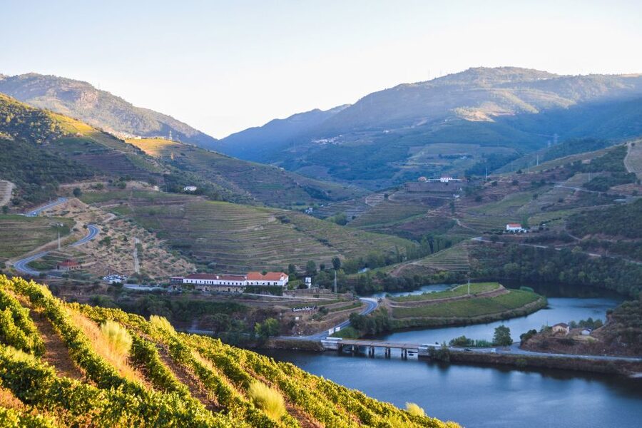 Douro Valley: Quinta do Tedo Wine Experience with Picnic - What makes this Douro picnic worth your time