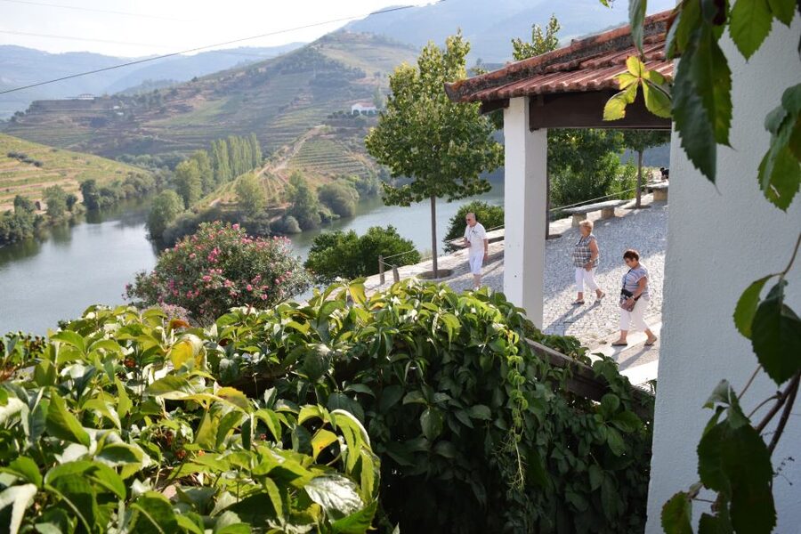 Douro Valley: Quinta do Tedo Wine Experience with Picnic - Service, guides, and the private-group advantage
