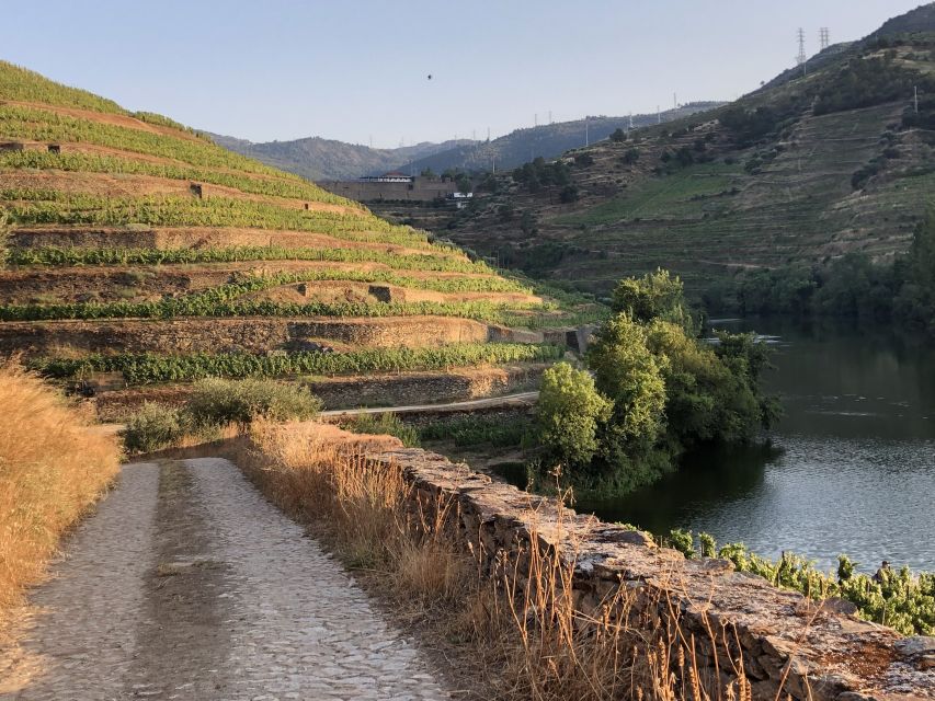 Douro Valley: Quinta do Tedo Wine Experience with Picnic - Is $65 a fair price?