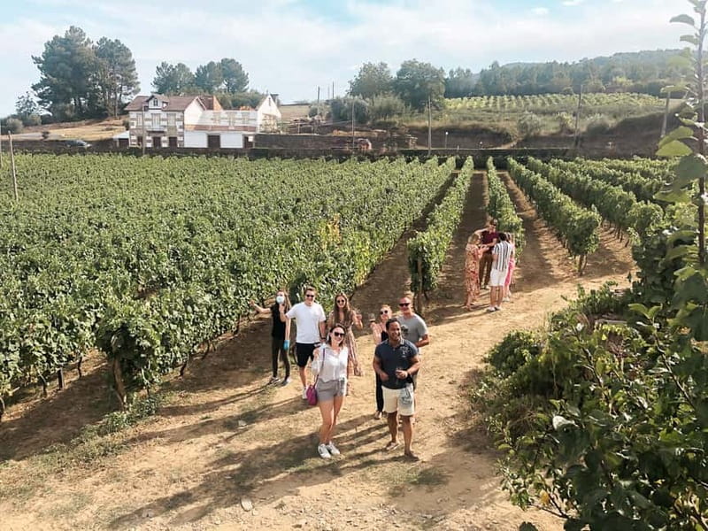 Douro Valley: Real Small-Group, Wine Tasting, Lunch & Boat - Why the Douro Valley makes a worthwhile day trip