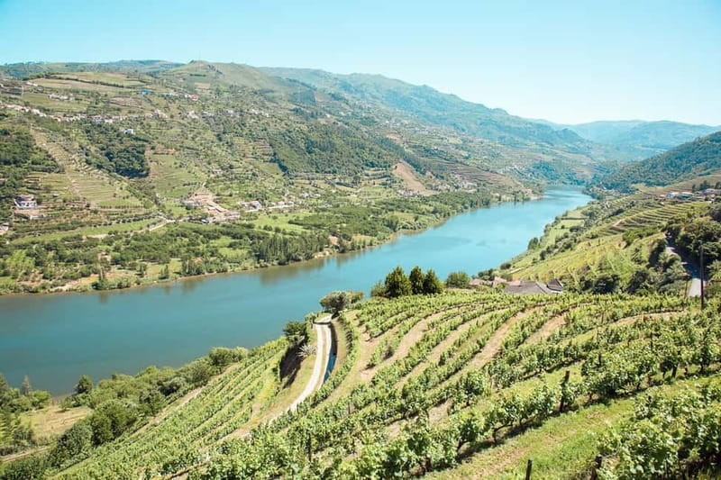 Douro Valley: Real Small-Group, Wine Tasting, Lunch & Boat - The first estate: port, production, and Portuguese cheese