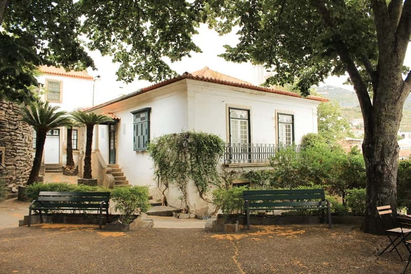 Douro Valley: Real Small-Group, Wine Tasting, Lunch & Boat - Lunch with meat, fish, or vegetarian choices
