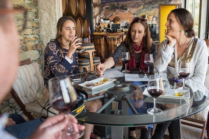 Douro Valley Small-Group Tour with Wine Tasting, Lunch and Boat - What $169.30 Buys You