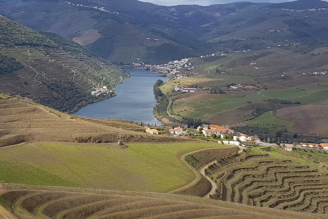 Douro Valley Tour: 2 Vineyard Visits, River Cruise, Winery Lunch - Key points at a glance