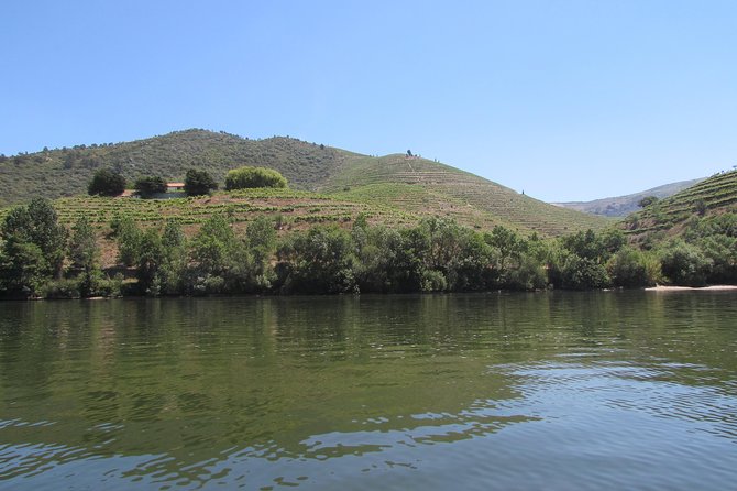 Douro Valley Tour: 2 Vineyard Visits, River Cruise, Winery Lunch - Leaving Porto for Lamego