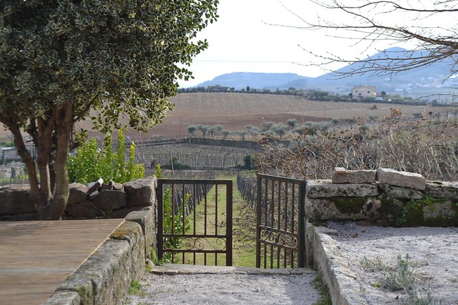Douro Valley Tour: 2 Vineyard Visits, River Cruise, Winery Lunch - Pinhão and the Douro River by Rabelo boat