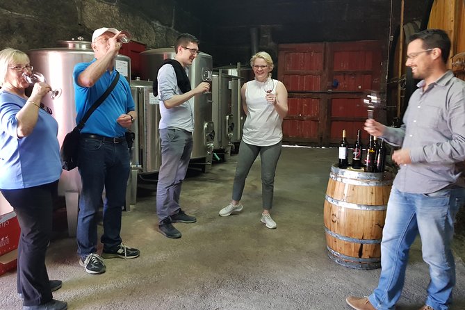 Douro Valley Tour: 2 Vineyard Visits, River Cruise, Winery Lunch - The first family winery near Lamego