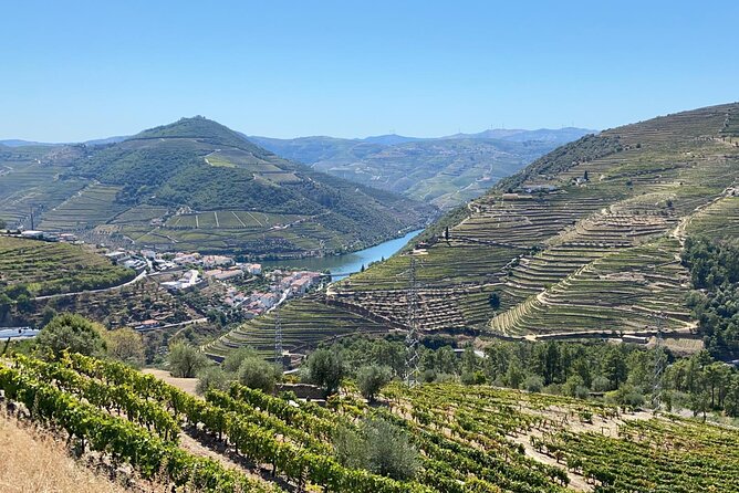 Douro Valley Tour - 3 Wine tastings, Lunch & river Cruise - Sabrosa serves the day’s main meal