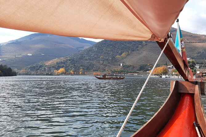 Douro Valley Tour - 3 Wine tastings, Lunch & river Cruise - What the $149.95 price really covers