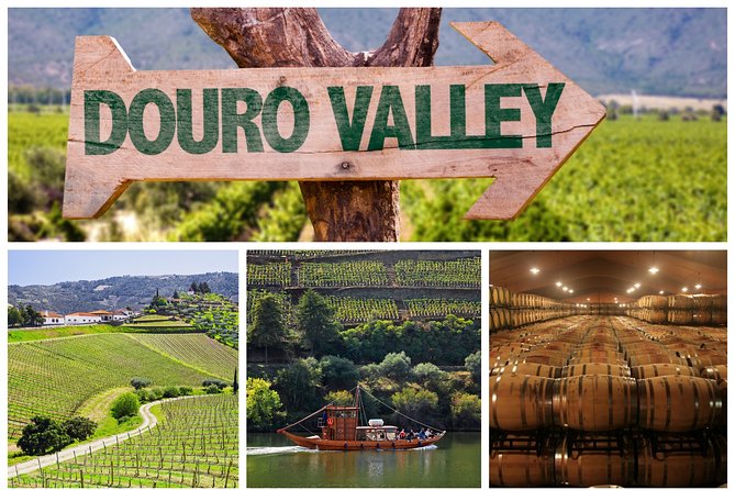 Douro Valley Tour: Wine Tasting, Cruise and Lunch from Porto - Key points to know before booking