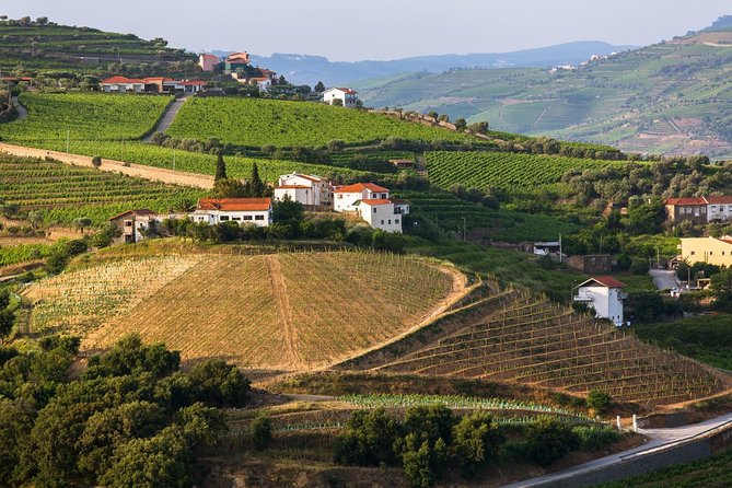 Douro Valley Tour: Wine Tasting, Cruise and Lunch from Porto - Lunch near the river
