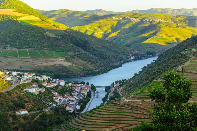 Douro Valley Tour: Wine Tasting, Cruise and Lunch from Porto - The one-hour Douro River cruise
