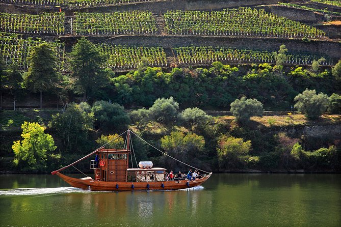 Douro Valley Tour: Wine Tasting, Cruise and Lunch from Porto - Viewpoints and the return to Porto