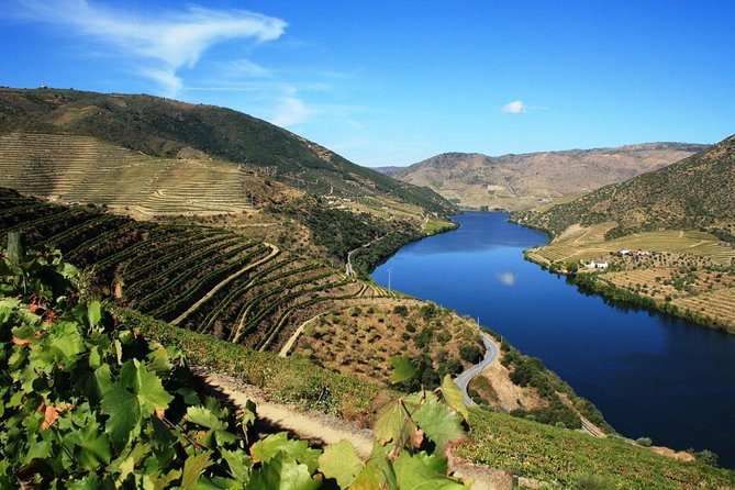 Douro Valley Wine Tour: 3 Vineyard Visits, Wine Tastings, Lunch - Lamego and the first family vineyard