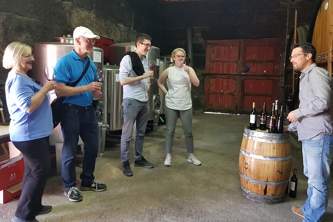 Douro Valley Wine Tour: 3 Vineyard Visits, Wine Tastings, Lunch - What the $133.02 price really covers