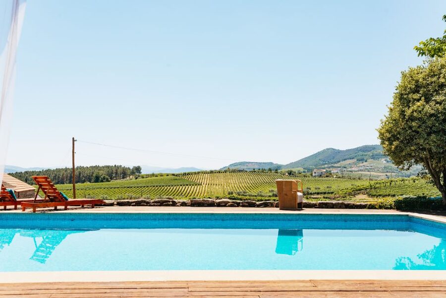 Douro Valley: Wine Tour with Lunch, Tastings & River Cruise - Who should book this tour?