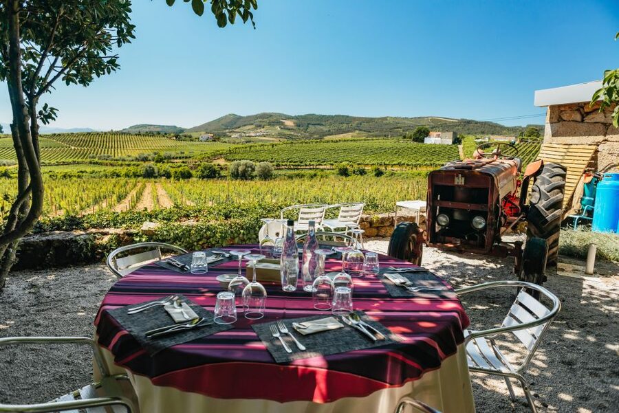 Douro Valley: Wine Tour with Lunch, Tastings & River Cruise - The second estate shows another side of Port wine