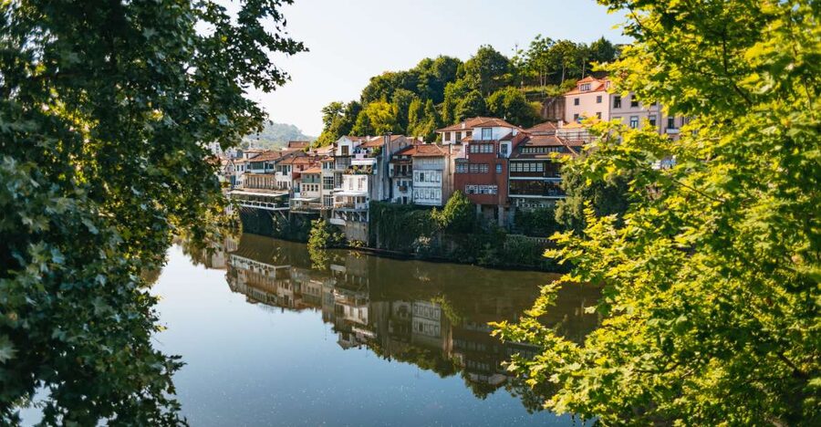 Douro Valley: Wine Tour with Lunch, Tastings & River Cruise - Guides can shape the whole day