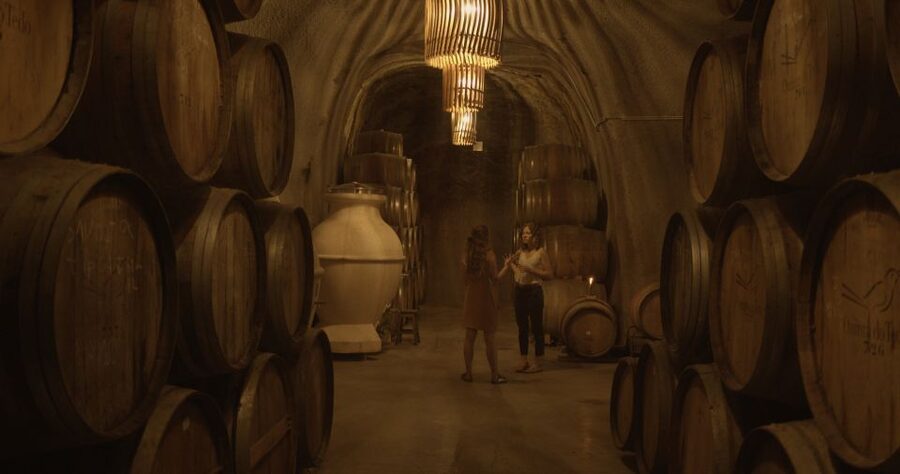 Douro Valley: Winery Tour at Quinta do Tedo and Tastings - Tasting Port and red wine above the Douro