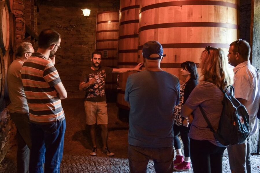 Douro Valley: Winery Tour at Quinta do Tedo and Tastings - How the timing affects the experience
