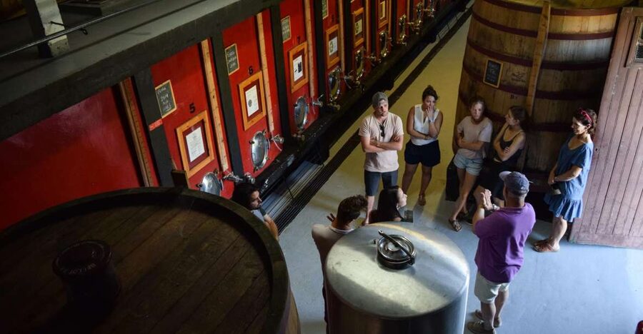 Douro Valley: Winery Tour at Quinta do Tedo and Tastings - Touring the 18th-century estate in 35 minutes