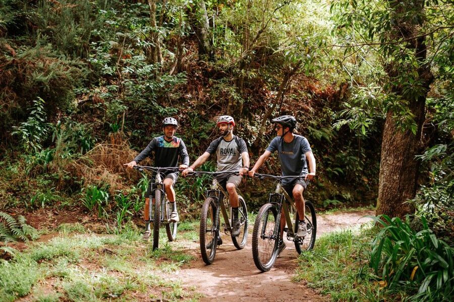 E-Bike Guided Tour - Mountain biking experience - Why this Madeira bike tour works well