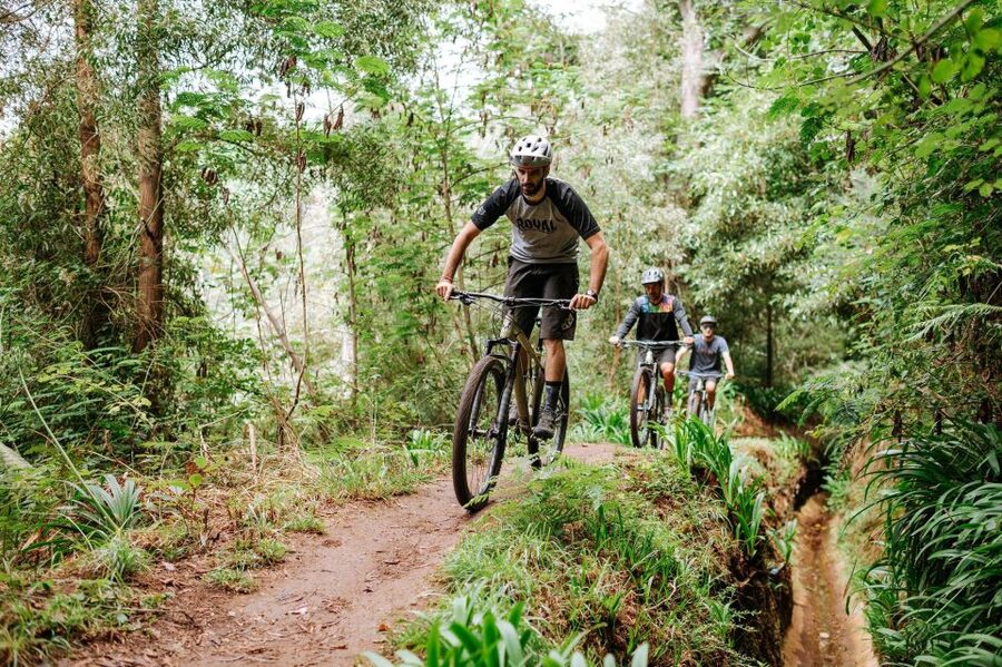 E-Bike Guided Tour - Mountain biking experience - Levada paths and mountain trails