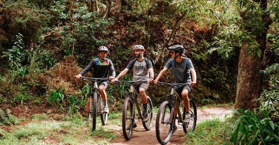 E-Bike Guided Tour - Mountain biking experience - From Funchal to Camacha by shuttle