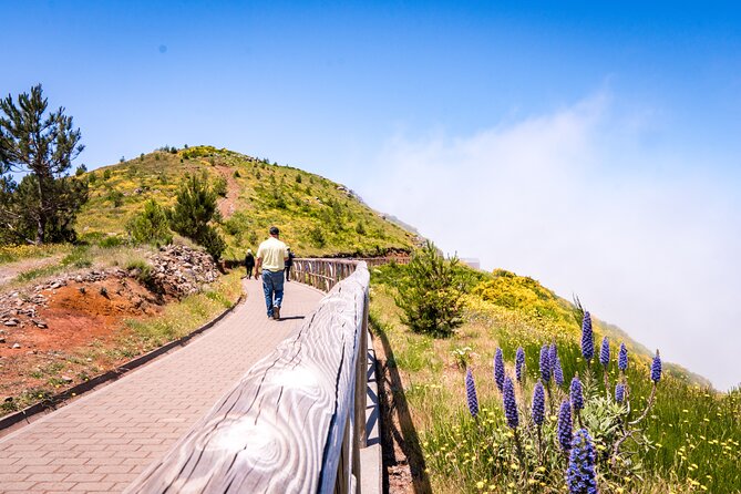 East of Madeira | Full Day 4x4 Tour - Porto da Cruz, Sugar, Rum, and Poncha