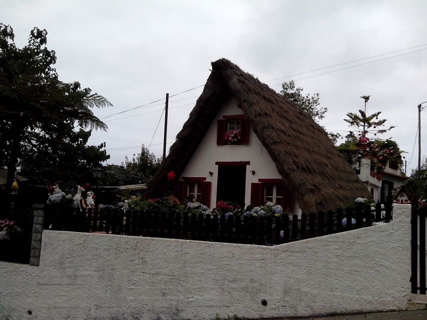 Eastern Madeira: Full-Day Tour with Rum Tasting - The minibus, guides, and pace