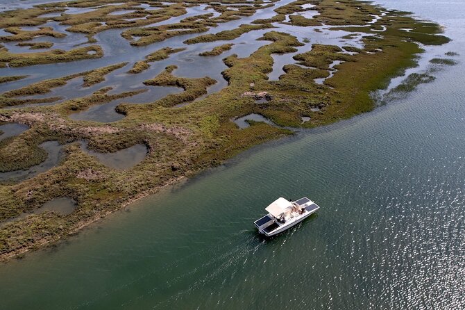 Eco Boat Tour in the Ria Formosa Lagoon from Faro - Why the Ria Formosa is worth seeing from Faro