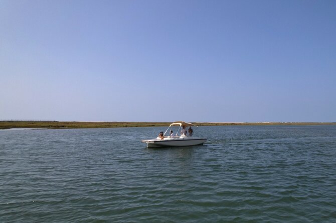 Eco Boat Tour in the Ria Formosa Lagoon from Faro - What happens during the one-hour route