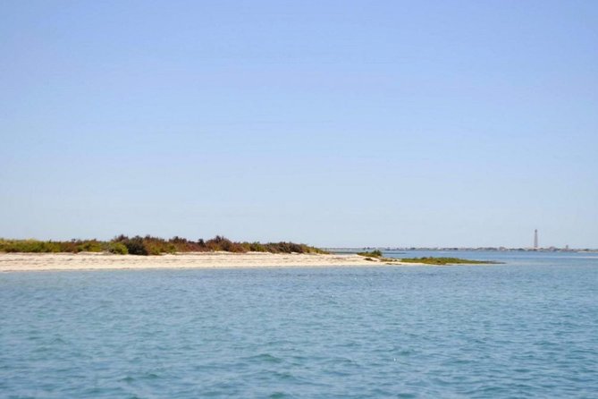 Eco Boat Tour in the Ria Formosa Lagoon from Faro - Tide and season can change the whole experience