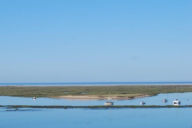 Eco Boat Tour in the Ria Formosa Lagoon from Faro - Guides, binoculars, and the human side