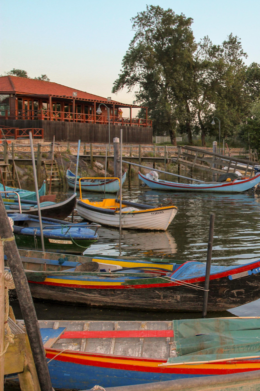 Escaroupim: 1 hour boat trip, guided tour - Price, booking flexibility, and access