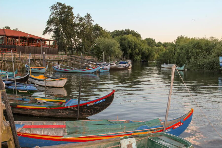 Escaroupim: 1 hour boat trip, guided tour - Starting at the blue house in Escaroupim