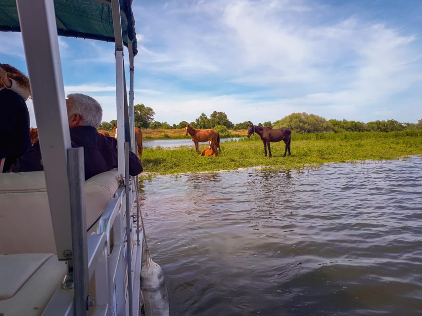Escaroupim: 1 hour boat trip, guided tour - Guide quality and the value of explanation