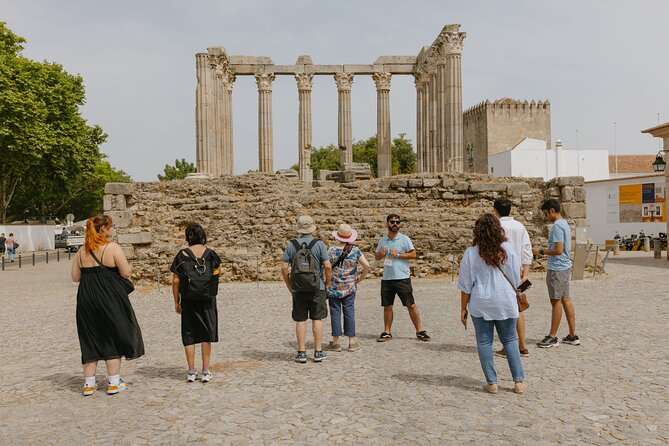 Évora, medieval village Monsaraz & Wine Tasting - Wine tasting in the Alentejo countryside