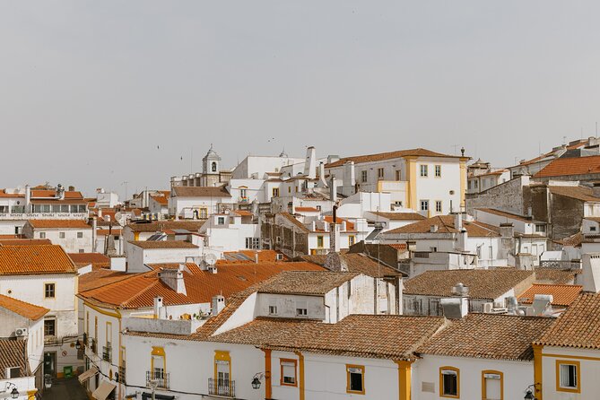 Évora, medieval village Monsaraz & Wine Tasting - Four hours in Évora, Portugal’s city museum