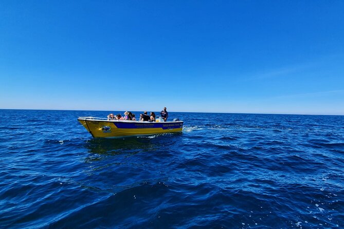 Express Tour - Benagil Cave - Boat Comfort, Sea Conditions, and Safety