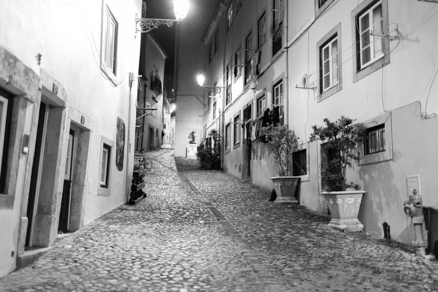 Fado: Musical Walking Tour with Food & Live Show - Who will enjoy this Lisbon evening