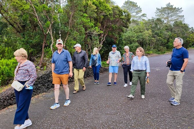 Faial Island: Full Day Tour – Nature and Local Culture - Reading the coast at Ponta Furada