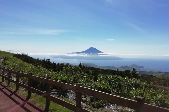 Faial Island: Half Day Tour - Why this short Faial tour works